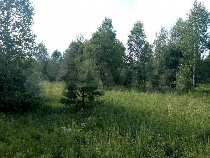 Участок 10 сот. (СНТ, ДНП)