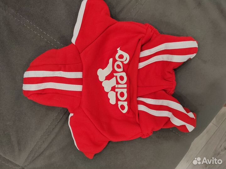 Одежда для маленьких собак