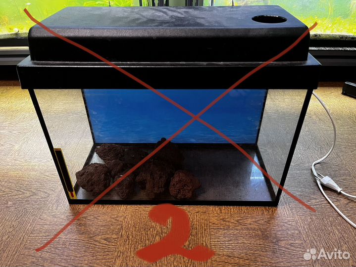 Аквариум и оборудование