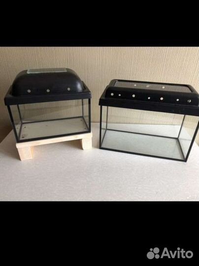 Аквариумы 5 и 10 литров +куча атрибутов