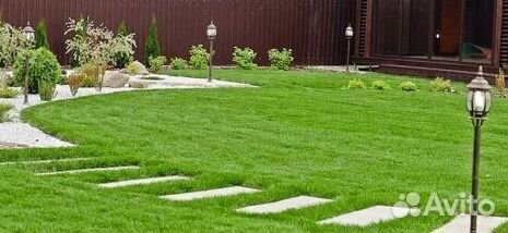 Продажа Рулонного газона