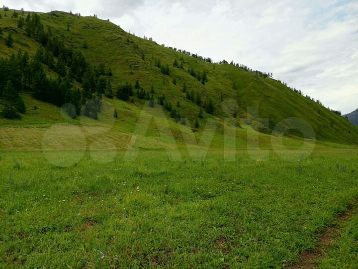 Участок 14 га (СНТ, ДНП)