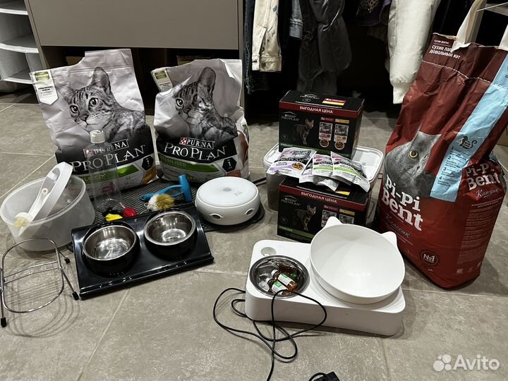 Все для ухода за кошкой