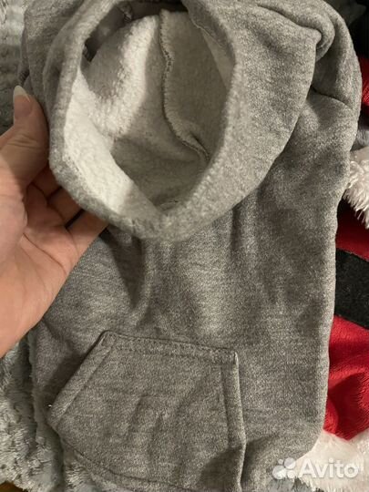 Вещи для маленьких собак