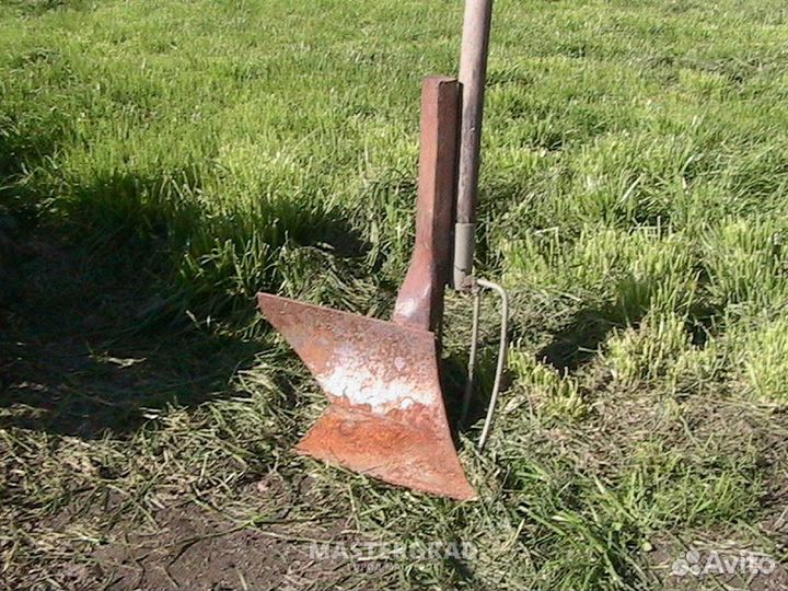 Предплужники