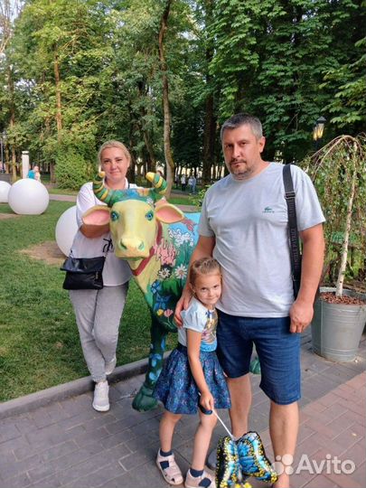 Любая работа, подработка