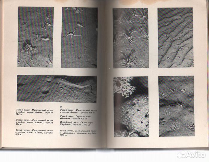 А. А. Аксенов и др. / За тайнами Нептуна