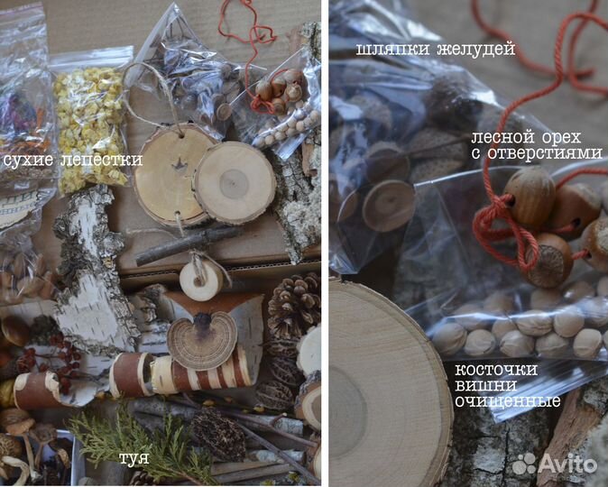 Большой набор природные материалы для поделок