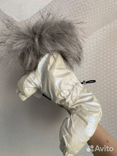 Комбинезон для собаки