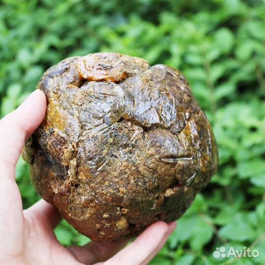 Прополис пчелиный