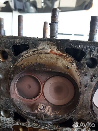 Головка гбц умз 4216 Евро 3