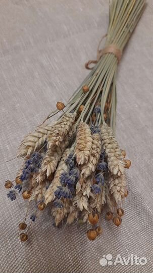 Букеты из пшеницы, льна, овса и лаванды