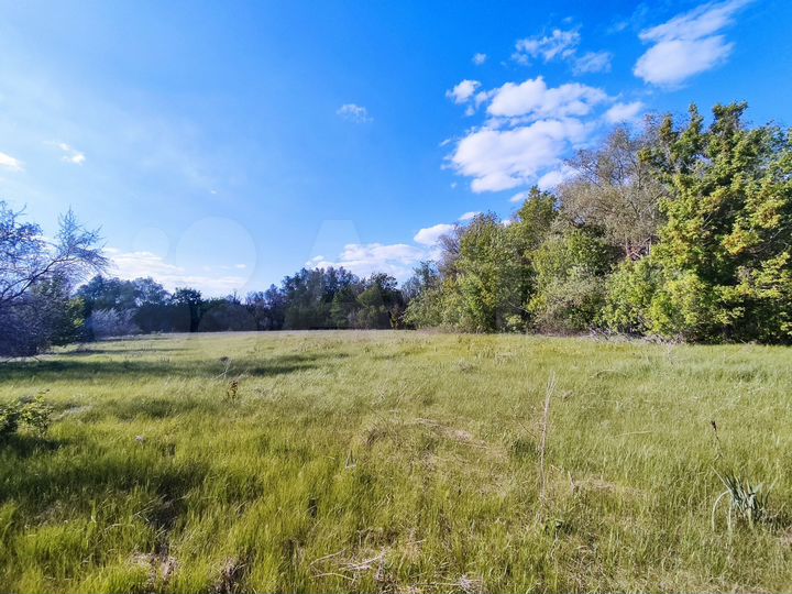 Участок 60 сот. (СНТ, ДНП)