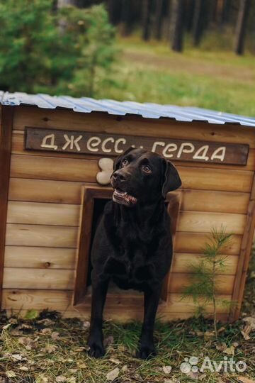 Будка для собаки утепленная