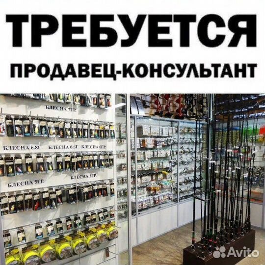 Продавец в рыболовный магазин