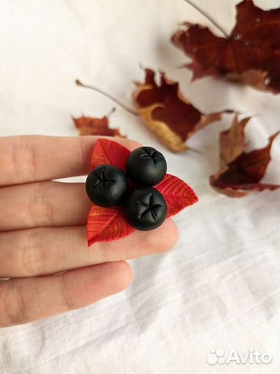 Сережки черноплодная рябина