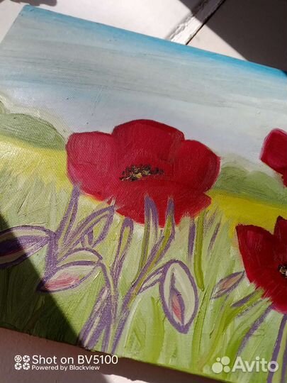 Картина маслом красные маки