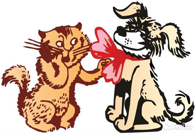 Продавец консультант