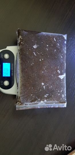 Дафния свежемороженая