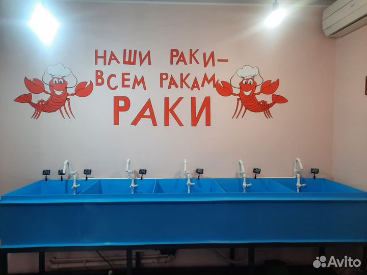 Живые и варёные раки
