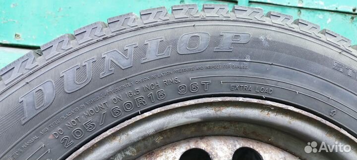 Dunlop Winter Maxx WM02 205/60 R16