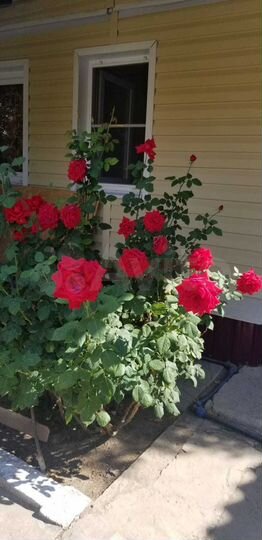 Дом 72,5 м² на участке 1,5 сот.