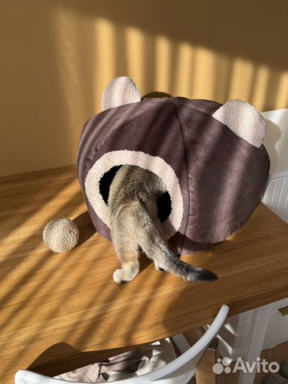 Домик лежанка для кошки