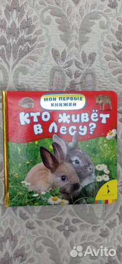 Книга для самых маленьких 