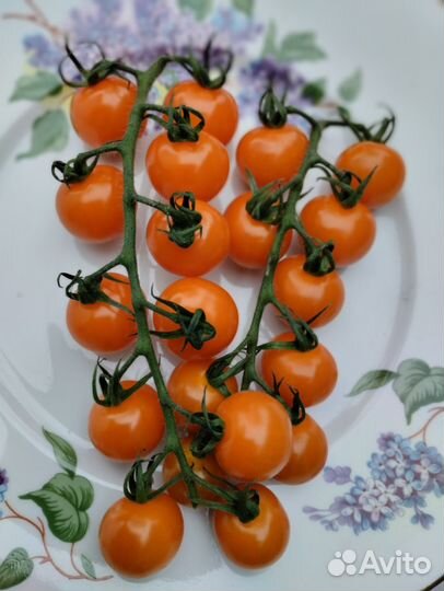 Томатики chery(80 сортов)