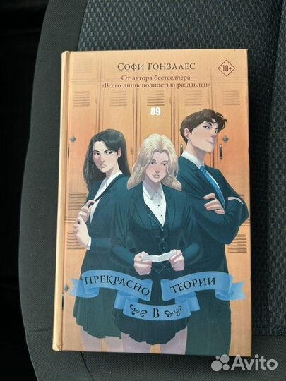 Прекрасно в теории Софи Гонзалес