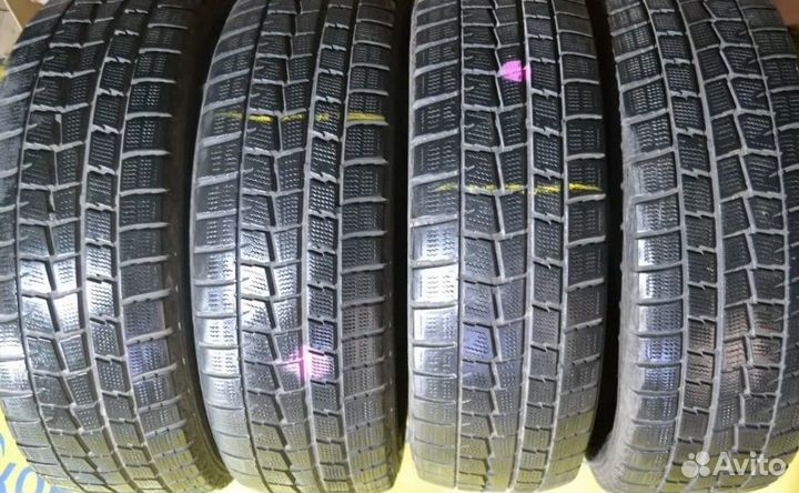 Dunlop Winter Maxx WM01 205/60 R16