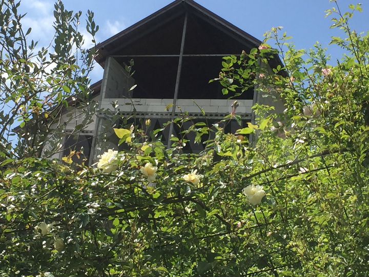 Участок 4 сот. (СНТ, ДНП)