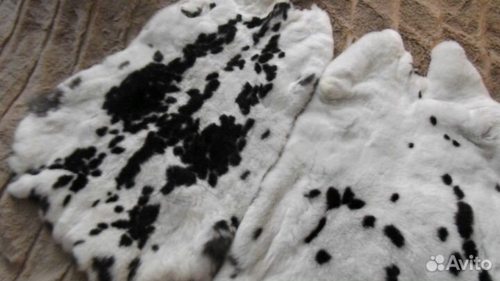 Мех кролика рекс