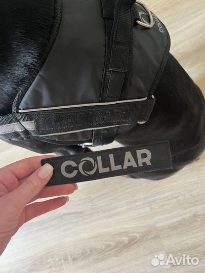 Шлея для собак «collar»