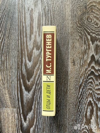 Тургенев отцы и дети