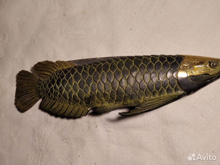 Рыба бронза