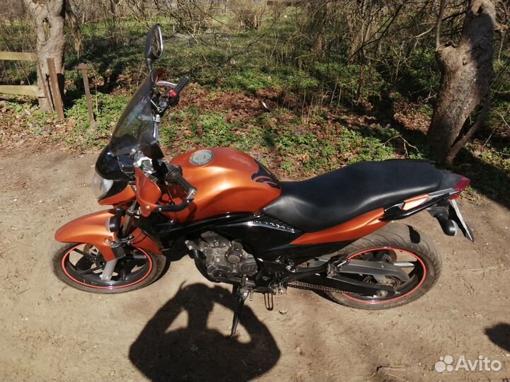 Stels Flex 250
