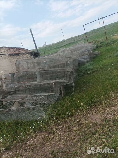 Сетки для кур