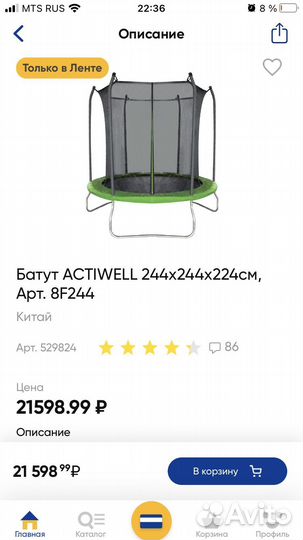 Батут, 244 см