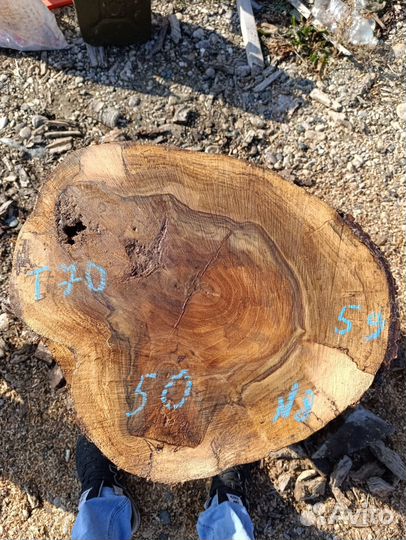 Спилы/слэбы ореха в наличии