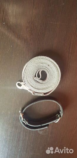 Ошейник и поводок