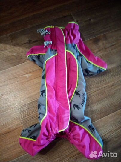 Дождевик для маленькой собаки