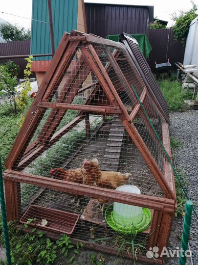 Курятник для кур - мини