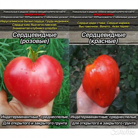 Помидоры и перцы семена