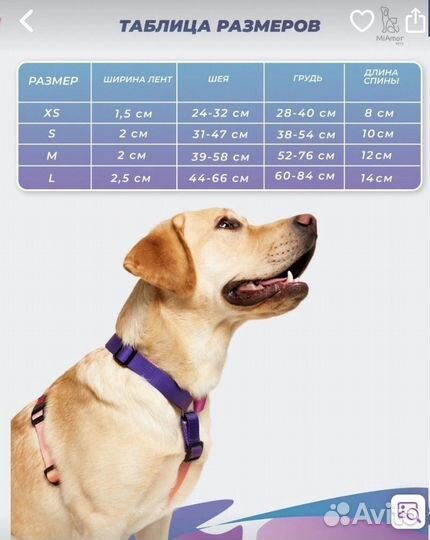 Шлейки для собак