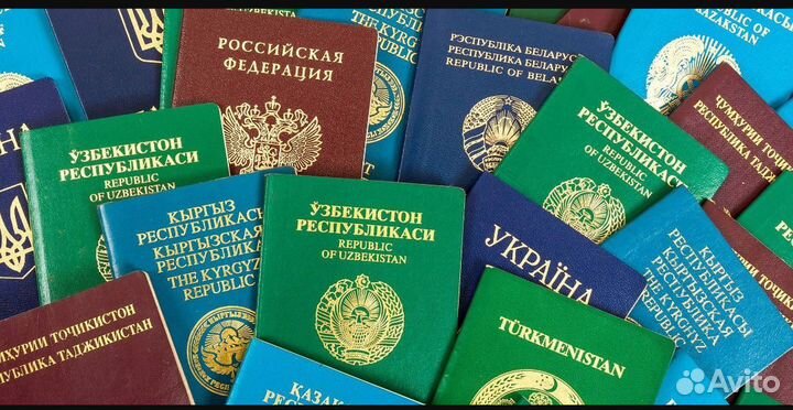 Миграционные услуги