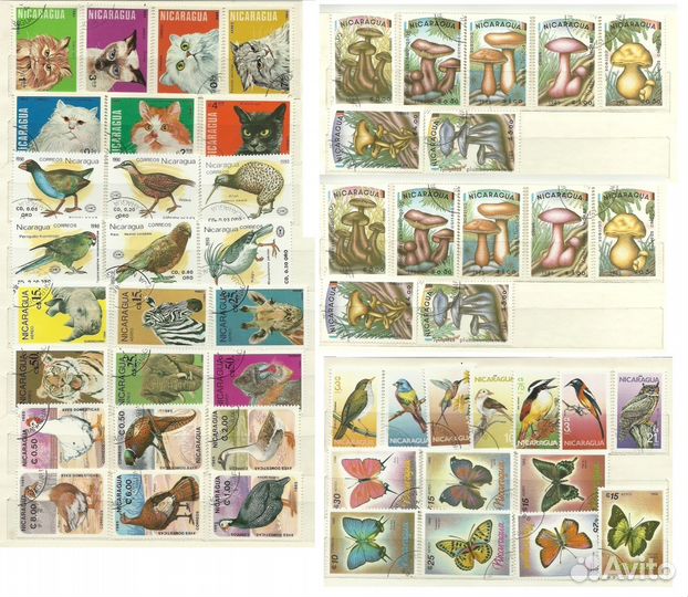 Фауна и флора. Америка Латинская 238шт + 1бл