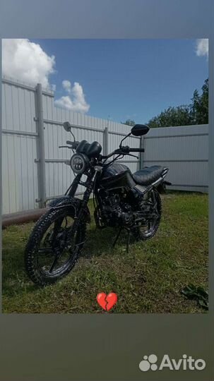 Racer Tiger 150-23