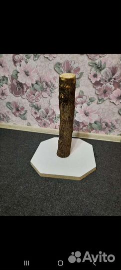 Когтеточка для кошек