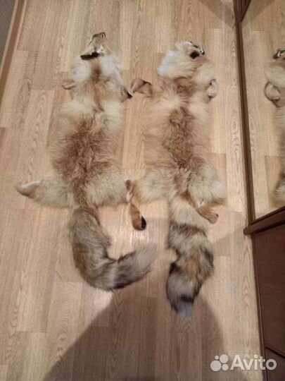 Шкурки лисы